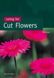CARING FOR CUT FLOWERS e2