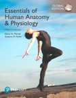 ESSENTIALS OF HUMAN ANATOMY & PHYSIOLOGY, GLOBAL EDITION e12